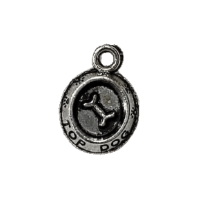 Charm 06